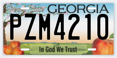 GA license plate PZM4210