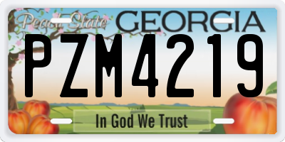 GA license plate PZM4219