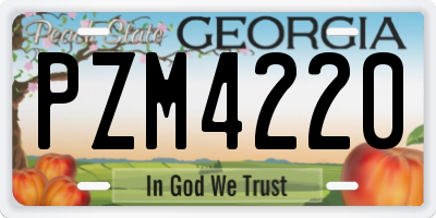 GA license plate PZM4220