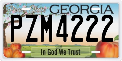 GA license plate PZM4222