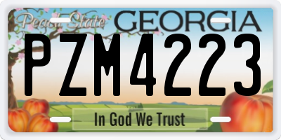 GA license plate PZM4223