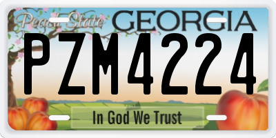 GA license plate PZM4224
