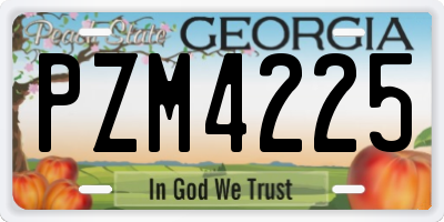 GA license plate PZM4225