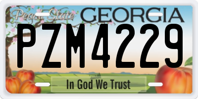 GA license plate PZM4229