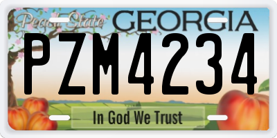 GA license plate PZM4234