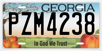 GA license plate PZM4238
