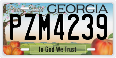 GA license plate PZM4239