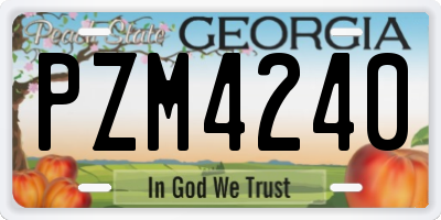 GA license plate PZM4240