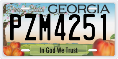 GA license plate PZM4251