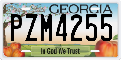 GA license plate PZM4255