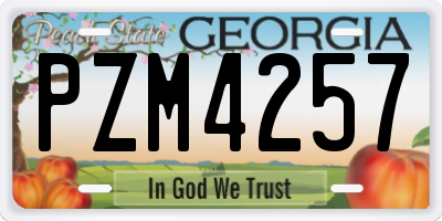 GA license plate PZM4257