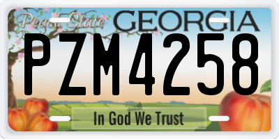 GA license plate PZM4258