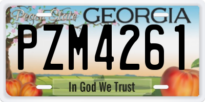GA license plate PZM4261