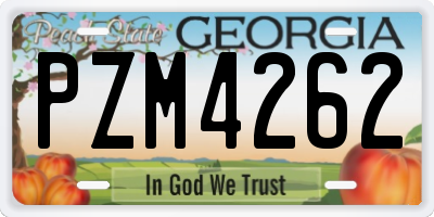 GA license plate PZM4262