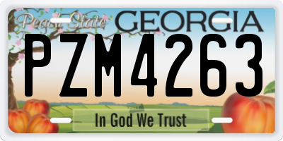GA license plate PZM4263