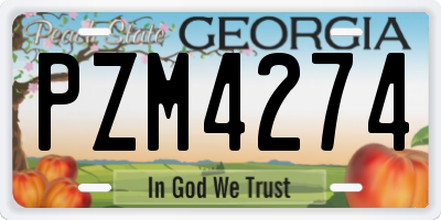 GA license plate PZM4274