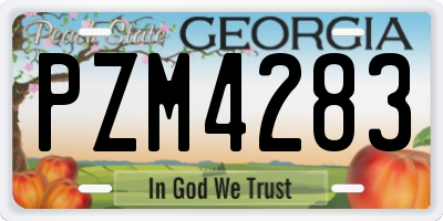 GA license plate PZM4283
