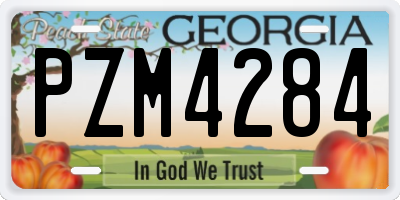 GA license plate PZM4284