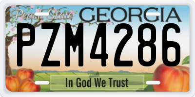GA license plate PZM4286