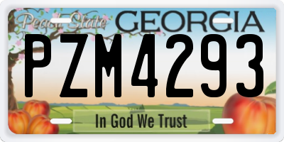 GA license plate PZM4293