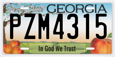 GA license plate PZM4315