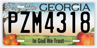 GA license plate PZM4318