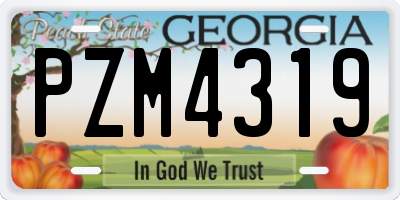 GA license plate PZM4319