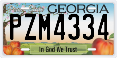 GA license plate PZM4334