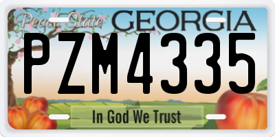 GA license plate PZM4335