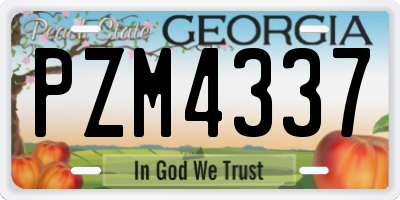 GA license plate PZM4337