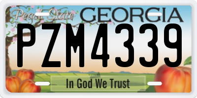 GA license plate PZM4339