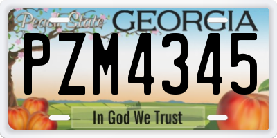 GA license plate PZM4345