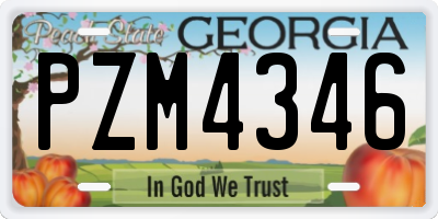 GA license plate PZM4346