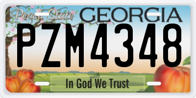 GA license plate PZM4348