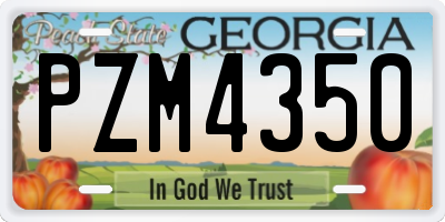 GA license plate PZM4350