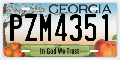 GA license plate PZM4351