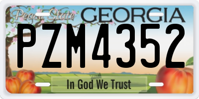 GA license plate PZM4352