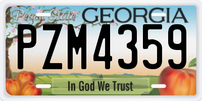GA license plate PZM4359