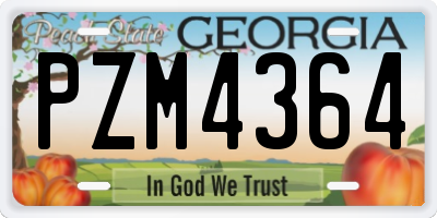 GA license plate PZM4364