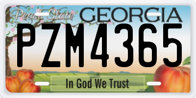 GA license plate PZM4365