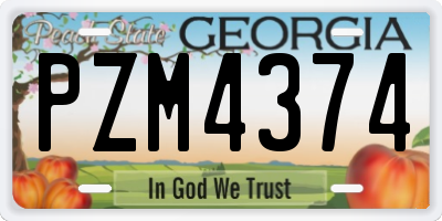 GA license plate PZM4374