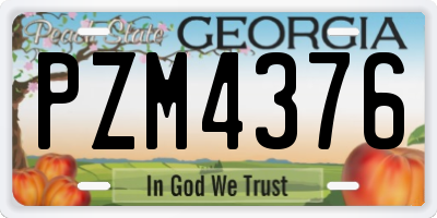 GA license plate PZM4376