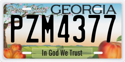 GA license plate PZM4377