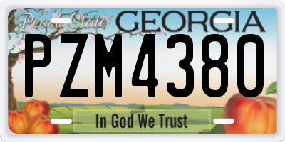 GA license plate PZM4380