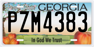GA license plate PZM4383
