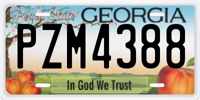 GA license plate PZM4388