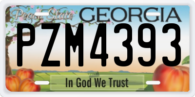 GA license plate PZM4393