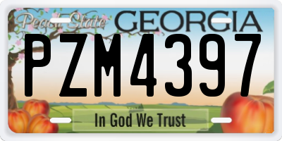 GA license plate PZM4397