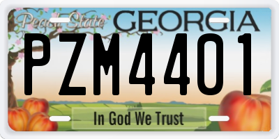GA license plate PZM4401