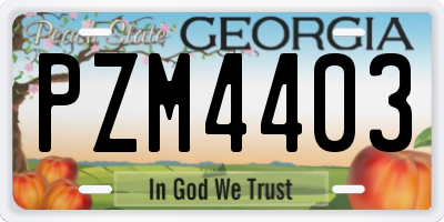 GA license plate PZM4403